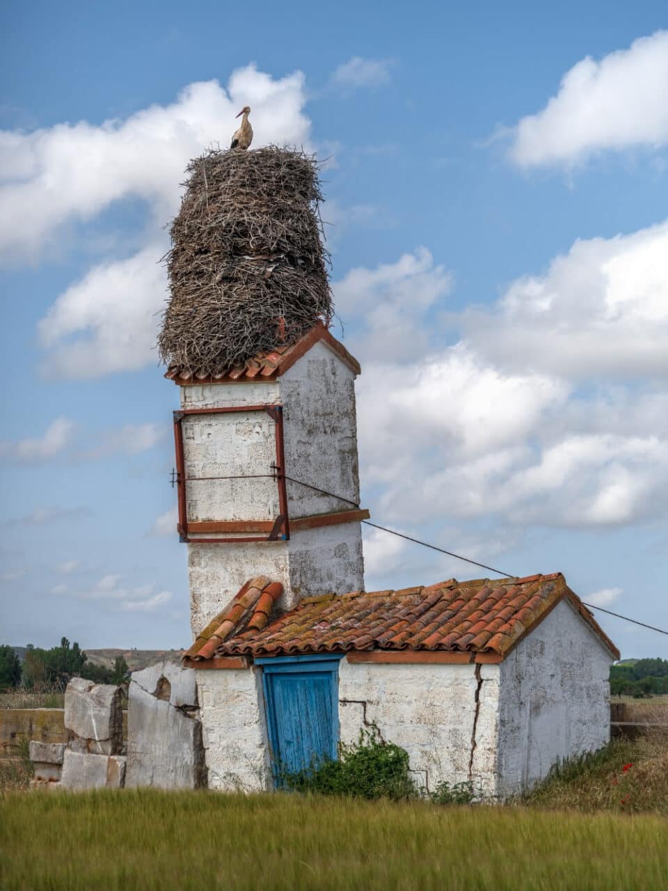 Sinantropías de Txema Salvans.