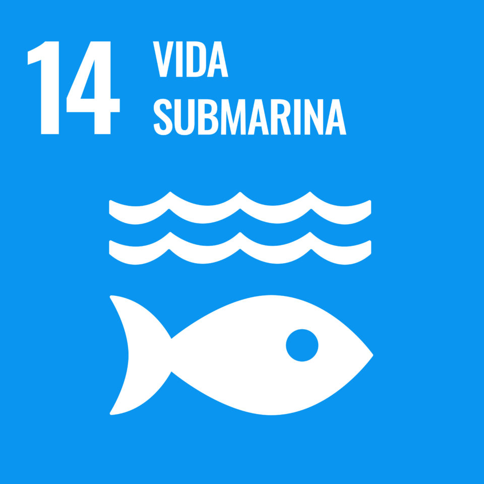 Sustainable_Development_Goal