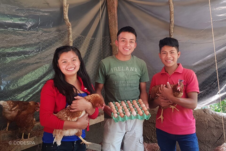 Elmer López lanzó junto a dos amigos una granja de producción de huevos llamada "La Fe".