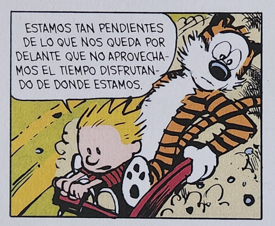 CALVIN Y HOBBES