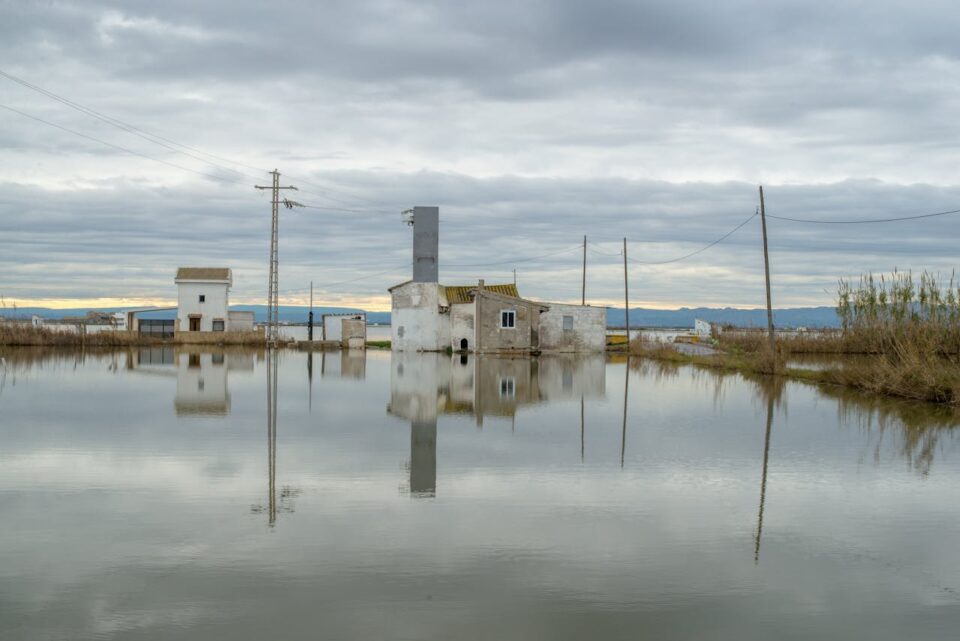 valencia, agua tranquila